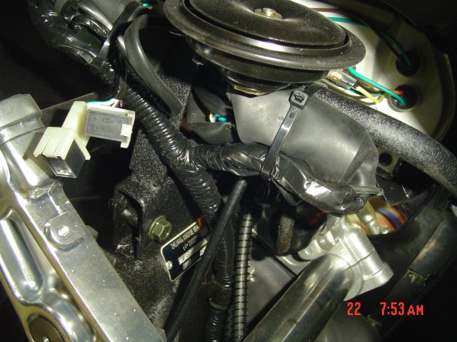 DSC00242b.jpg